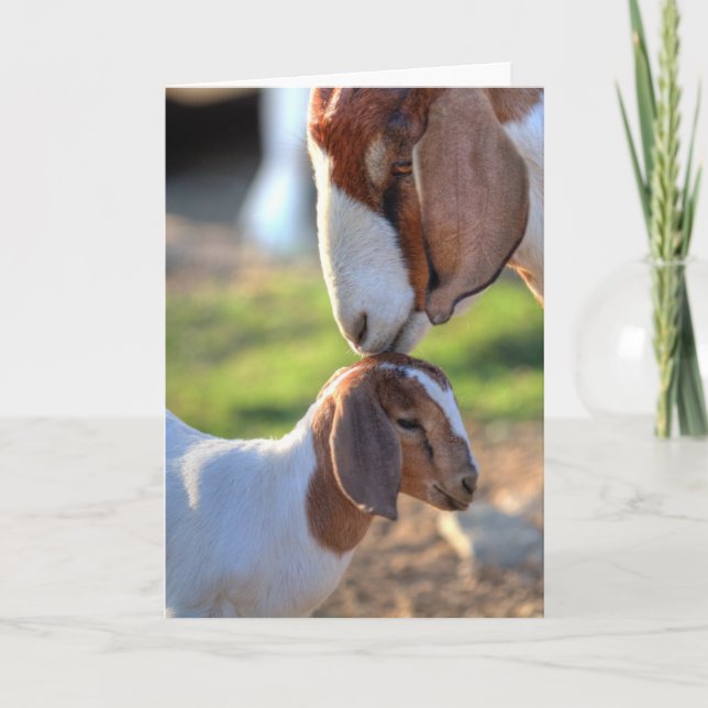Mor Goat & Baby Kort (Framsida)