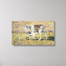 Mor Goat med sin Young Kid (av Segantini) Canvastryck