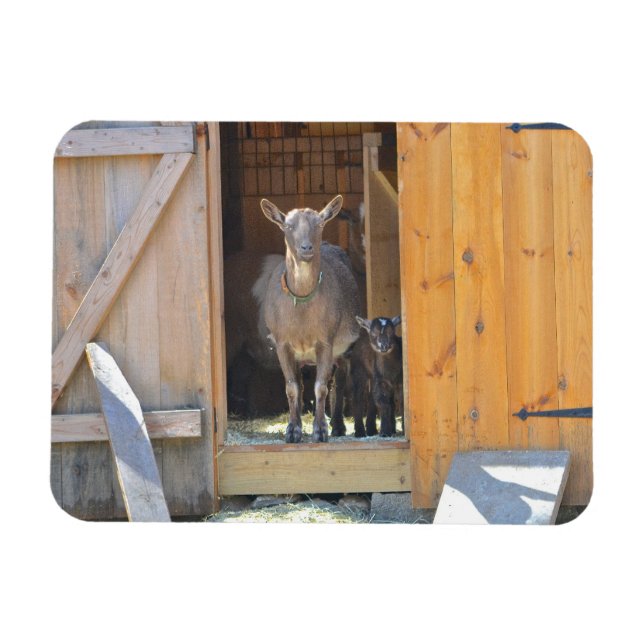 Mor Goat och Baby Magnet (Horisontell)