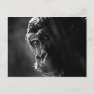 Mor Gorilla Postcard Vykort