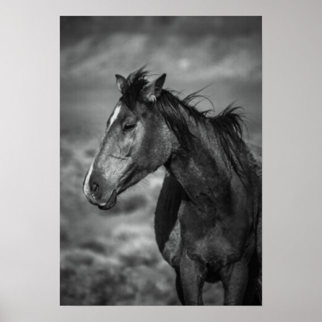 mor häst poster (Framsidan)