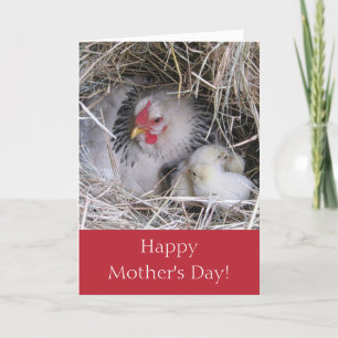 Mor Hen med det nya Chicken Greeting Card Kort
