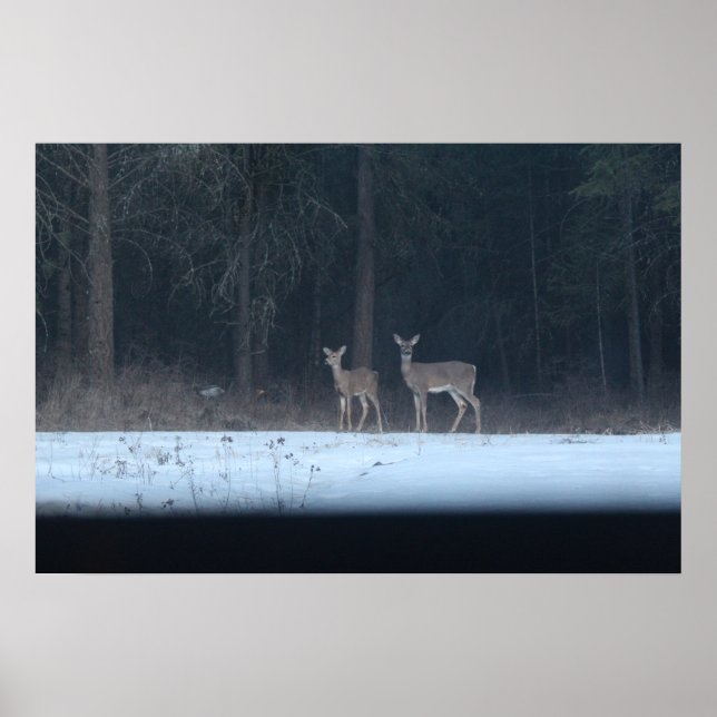 Mor hjort och poster (Framsidan)