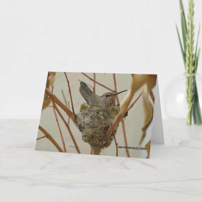 Mor Hummingbird Kort (Framsida)