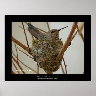 "Mor Hummingbird" Poster