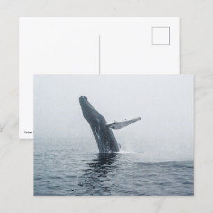 Mor Humpback Whale Inbjudan Vykort