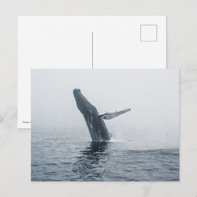 Mor Humpback Whale Inbjudan Vykort (Fram/baksida)
