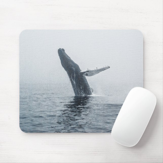 Mor Humpback Whale Musmatta (Med mus)