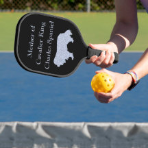 Mor i Cavalier Kung Charles Spaniel Silver