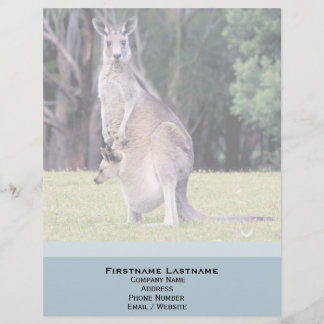 Mor Kangaroo med Baby Joey i hennes Pouch Brevhuvud