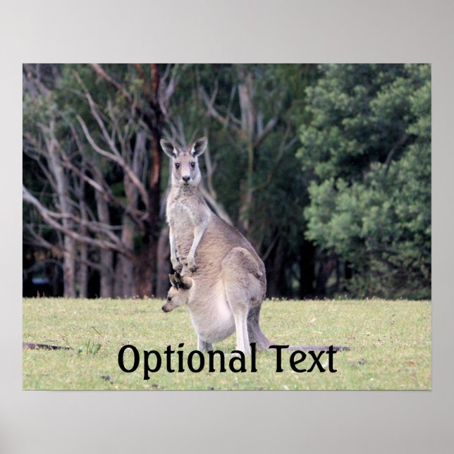 Mor Kangaroo med Baby Joey i hennes Pouch Poster (Framsidan)