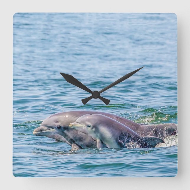 Mor Kärlek Dolphin & Baby Clock Fyrkantig Klocka (Framsida)