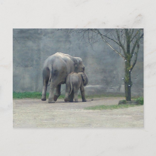 Mor Kärlek Elephant Postcard Vykort (Framsida)
