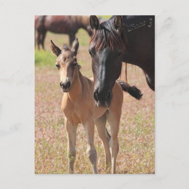 Mor Kärlek Vykort (Framsida)