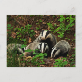 Mor med baby grävger vykort