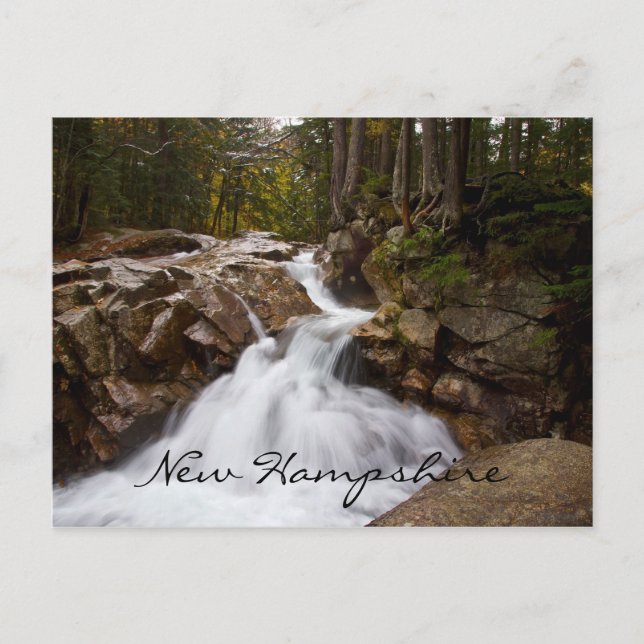 Mor Nature, New Hampshire Vykort (Framsida)
