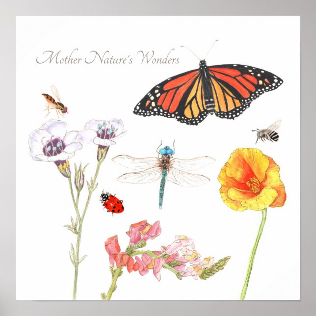 Mor naturens underverk poster (Framsidan)