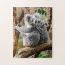 Mor och Baby Animal Koala BearPhotography Animal