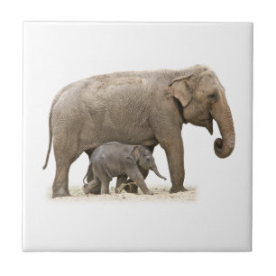 Mor och Baby Elephant Kakelplatta