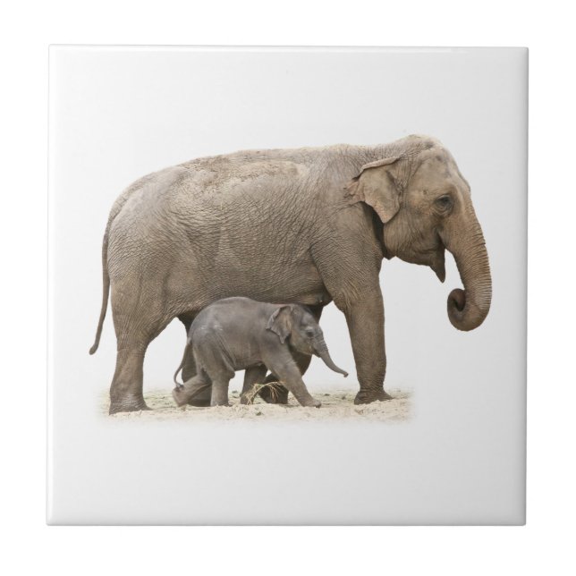 Mor och Baby Elephant Kakelplatta (Framsidan)