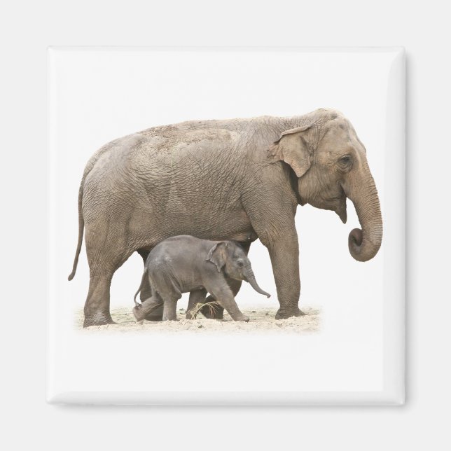 Mor och Baby Elephant Magnet (Framsidan)