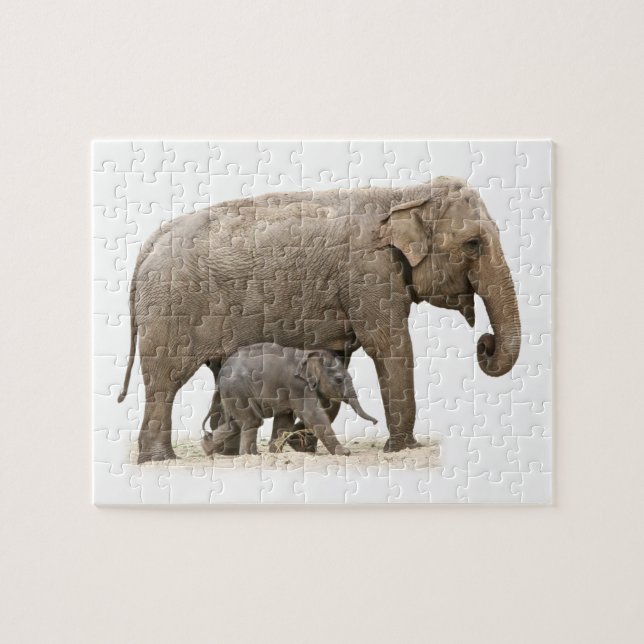 Mor och Baby Elephant Pussel (Horisontell)
