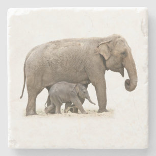 Mor och Baby Elephant Stenunderlägg