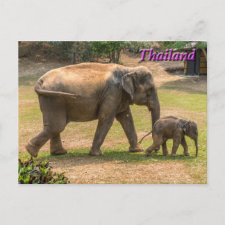 Mor och Baby Elephant, Thailand vykort