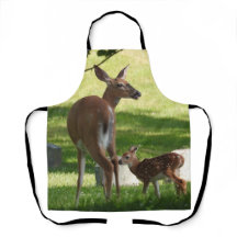 Mor och baby Fawn, Whitetail Hjort