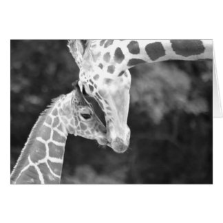 Mor och Baby Giraffe cuddle OBS Kort