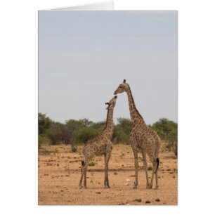Mor och baby giraffe hälsningskort