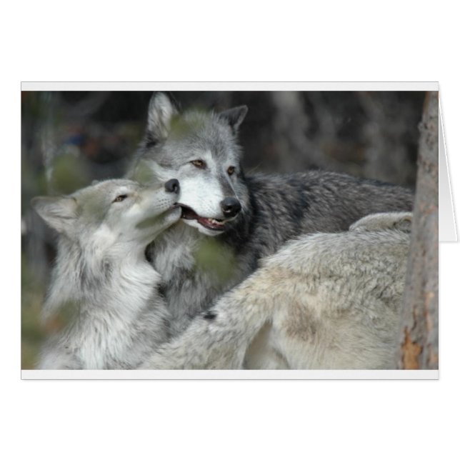 Mor och Baby Hälsningskort (Framsidan Horizontal)