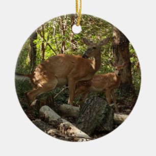 Mor och Baby Hjort i Shenandoah nationalpark Julgransprydnad Keramik