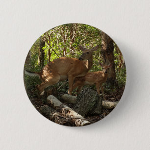 Mor och Baby Hjort i Shenandoah nationalpark Knapp