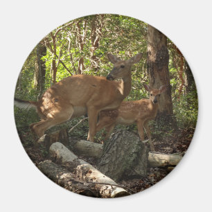 Mor och Baby Hjort i Shenandoah nationalpark Magnet