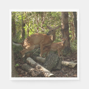 Mor och Baby Hjort i Shenandoah nationalpark Pappersservett