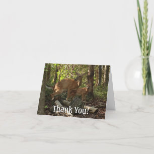 Mor och Baby Hjort i Shenandoah nationalpark Tack Kort