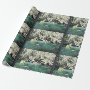 Mor och Baby Manatee Nature Photo Blue Vår Presentpapper