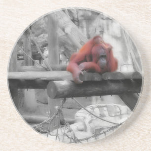 Mor och baby orangutang underlägg