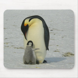 Mor och Baby Penguin Musmatta