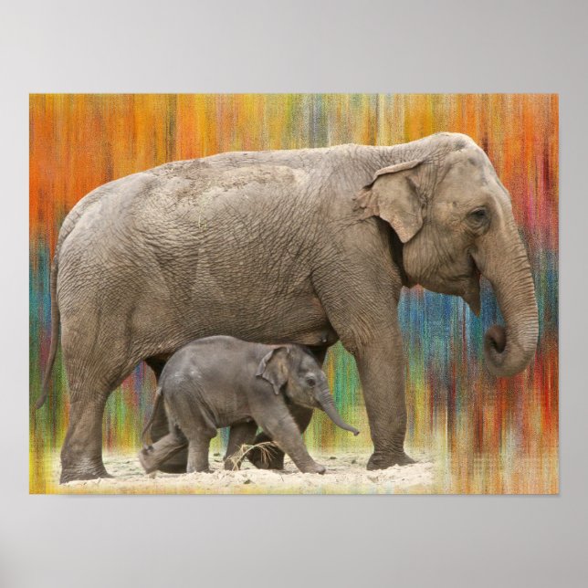 Mor och baby poster elefant (Framsidan)