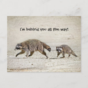 Mor och Baby Raccoon Vykort