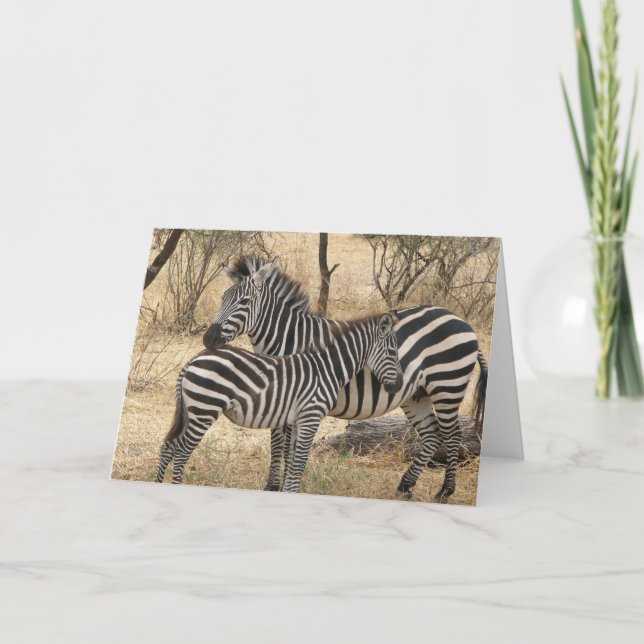 Mor och Baby Zebra-hälsningskort Kort (Framsida)