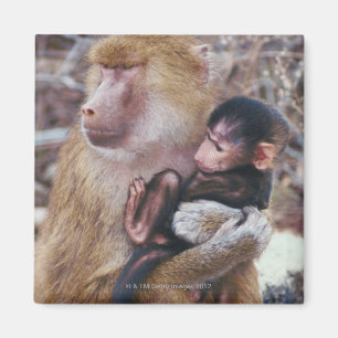 Mor- och babyBaboon Magnet