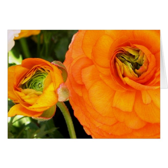 Mor och barn hälsningskort (Framsidan Horizontal)