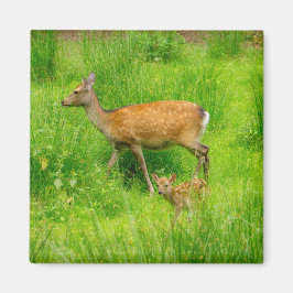 Mor och barn - hjort i träda med unga magnet