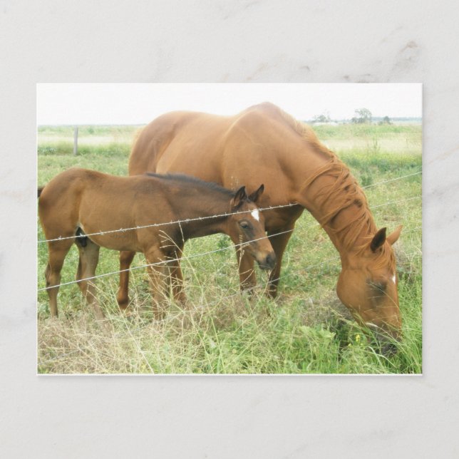 Mor och barn vykort (Framsida)