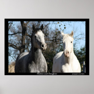 Mor och dotter poster
