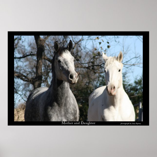 Mor och dotter poster (Framsidan)