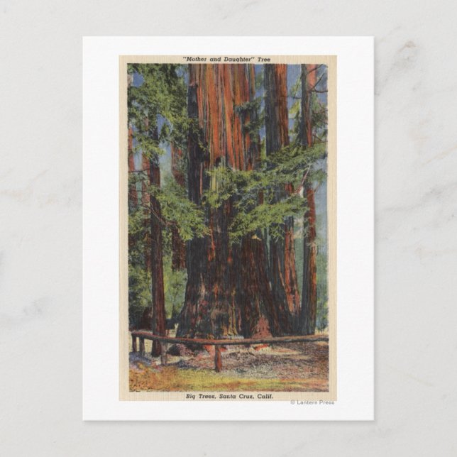 "Mor" och "dotter" vid Big Träd Park Vykort (Framsida)